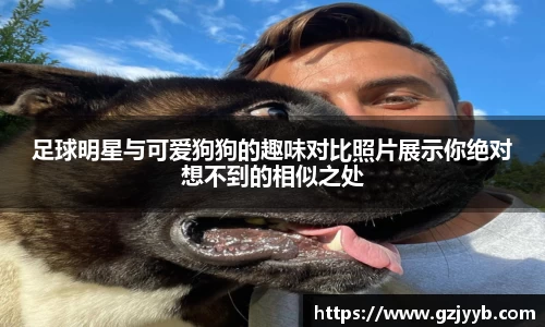 足球明星与可爱狗狗的趣味对比照片展示你绝对想不到的相似之处